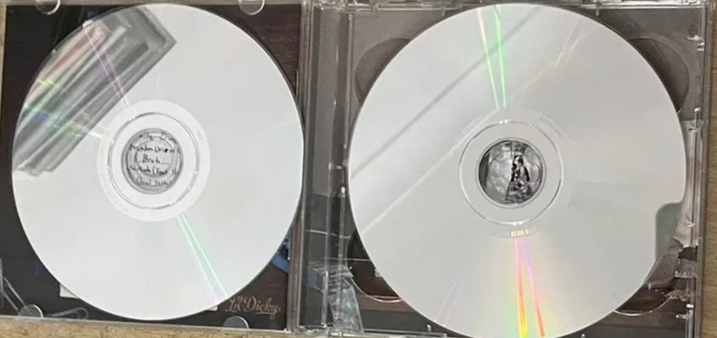 Lil Dicky - Rapero profesional