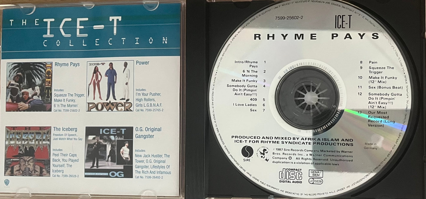 Ice T - Rhyme Pays
