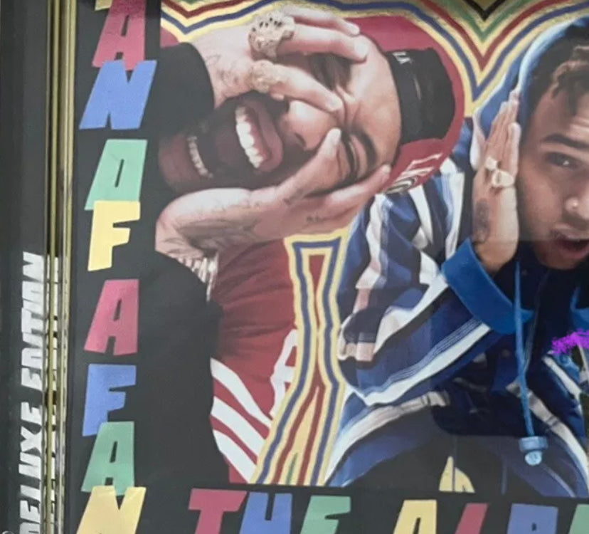Chris Brown Tyga - Fan Of A Fan The Album