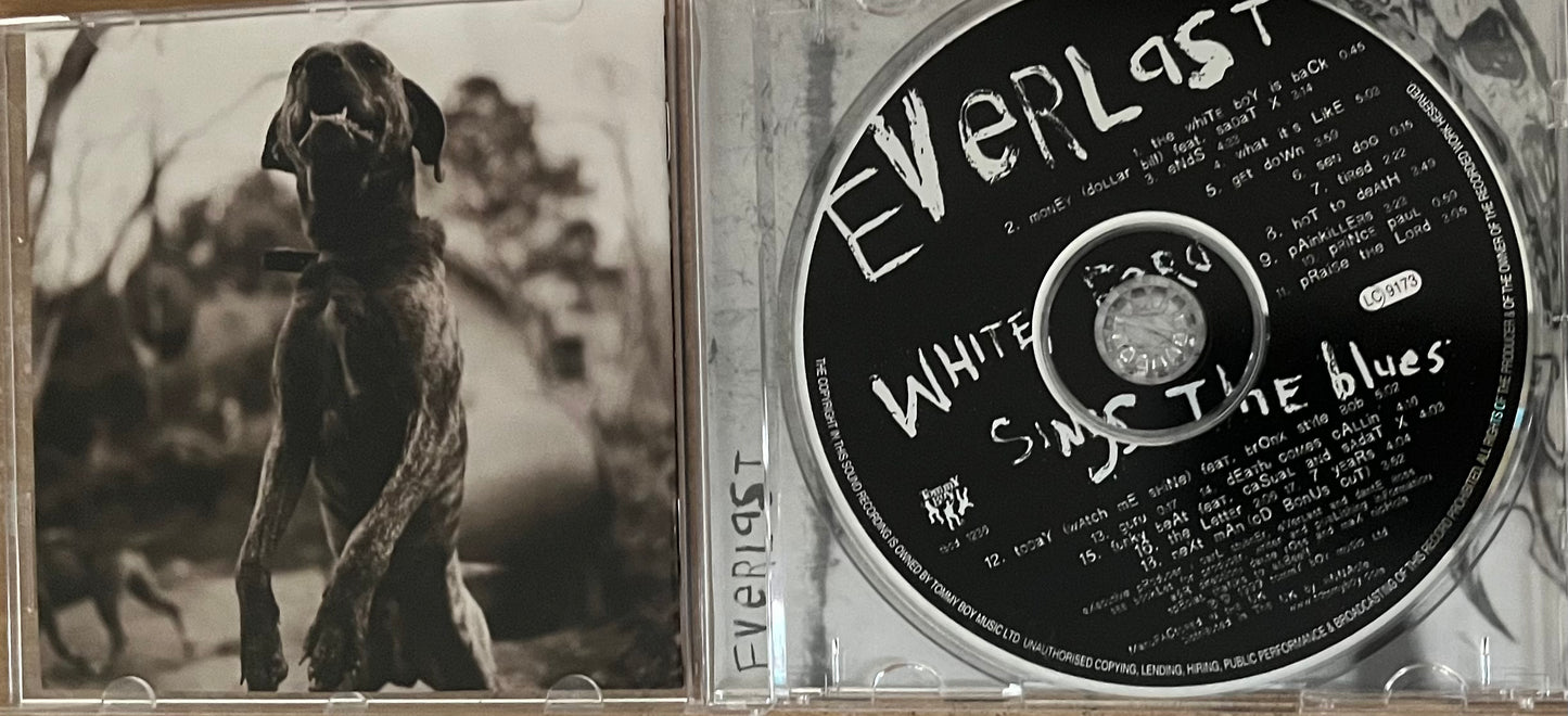 Everlast - Whitey Ford Sings The Blues