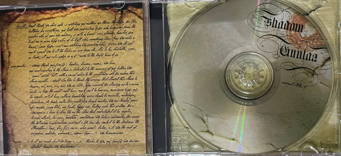 Shadow Huntaz - Datos corruptos