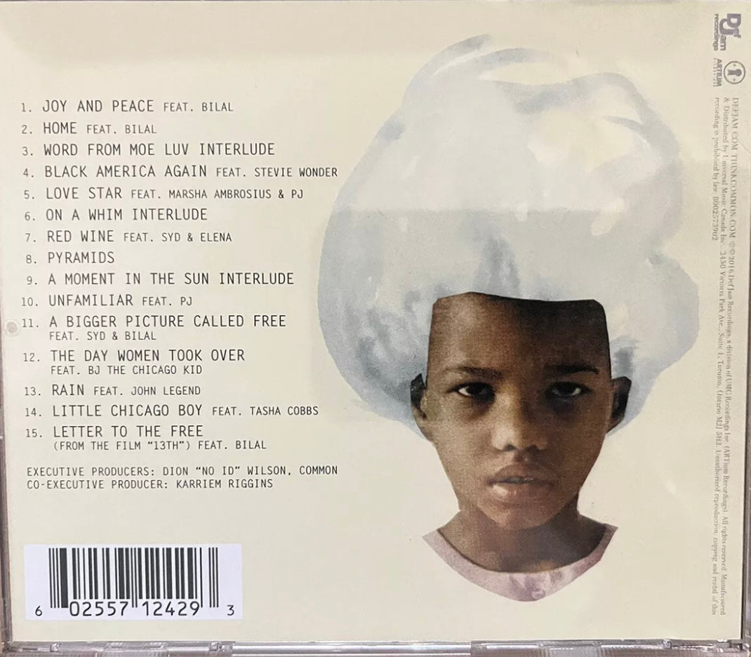COMMON - Black America Again