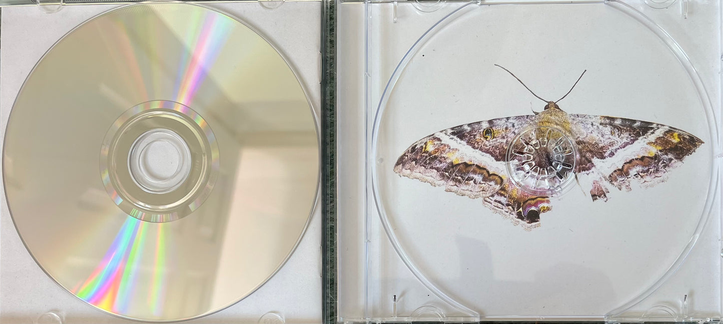 Kendrick Lamar - To Pimp A Butterfly