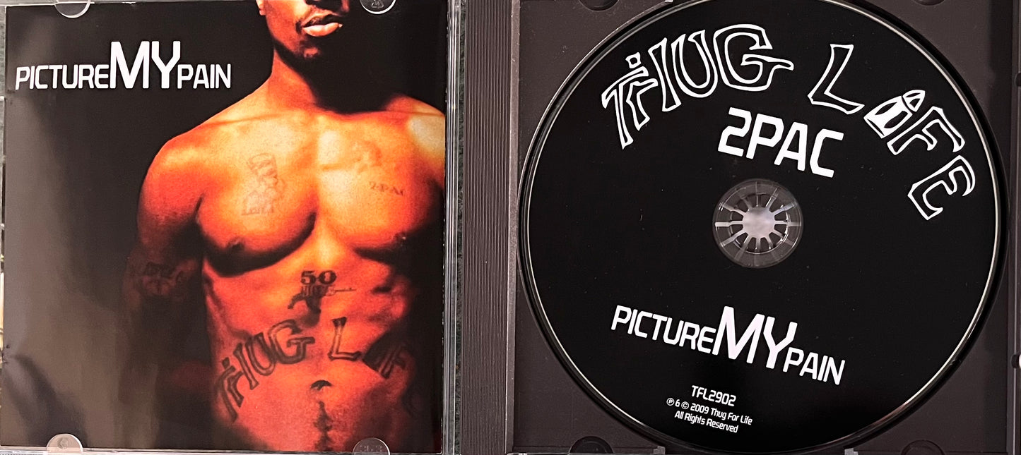 2pac - Picture My Pain