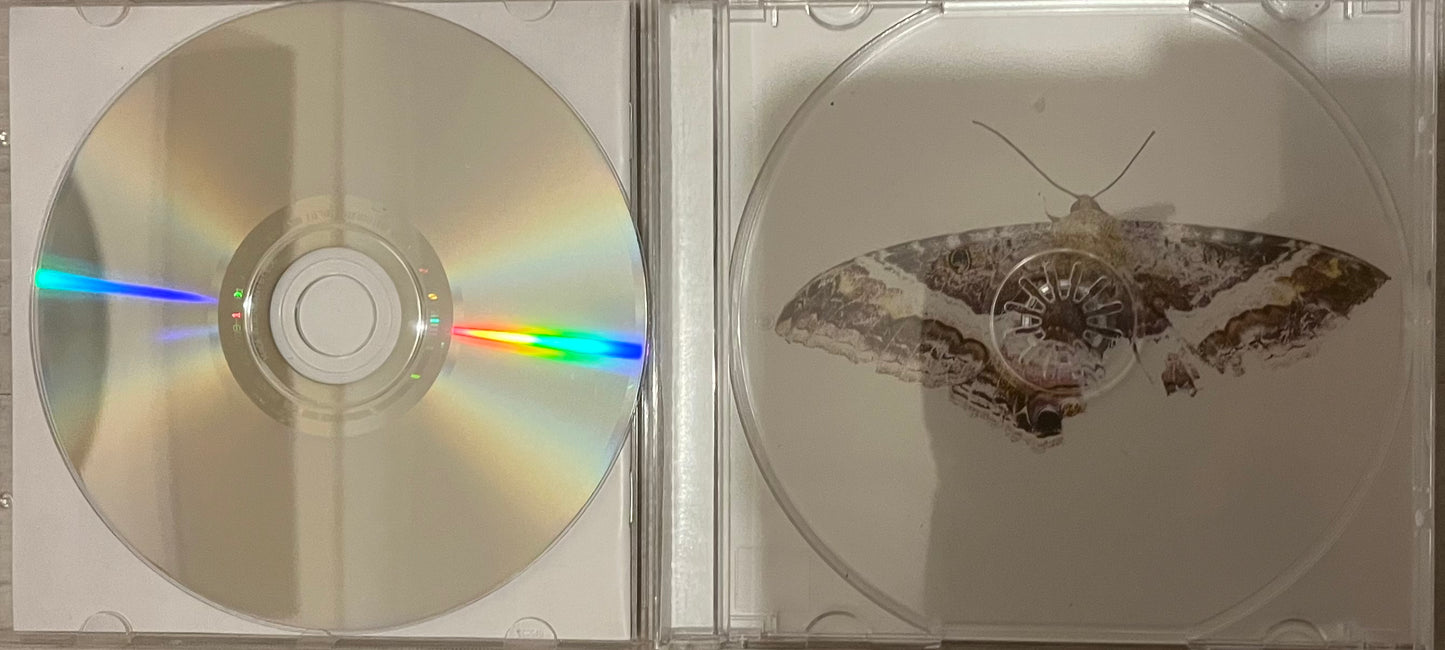 Kendrick Lamar - To Pimp A Butterfly