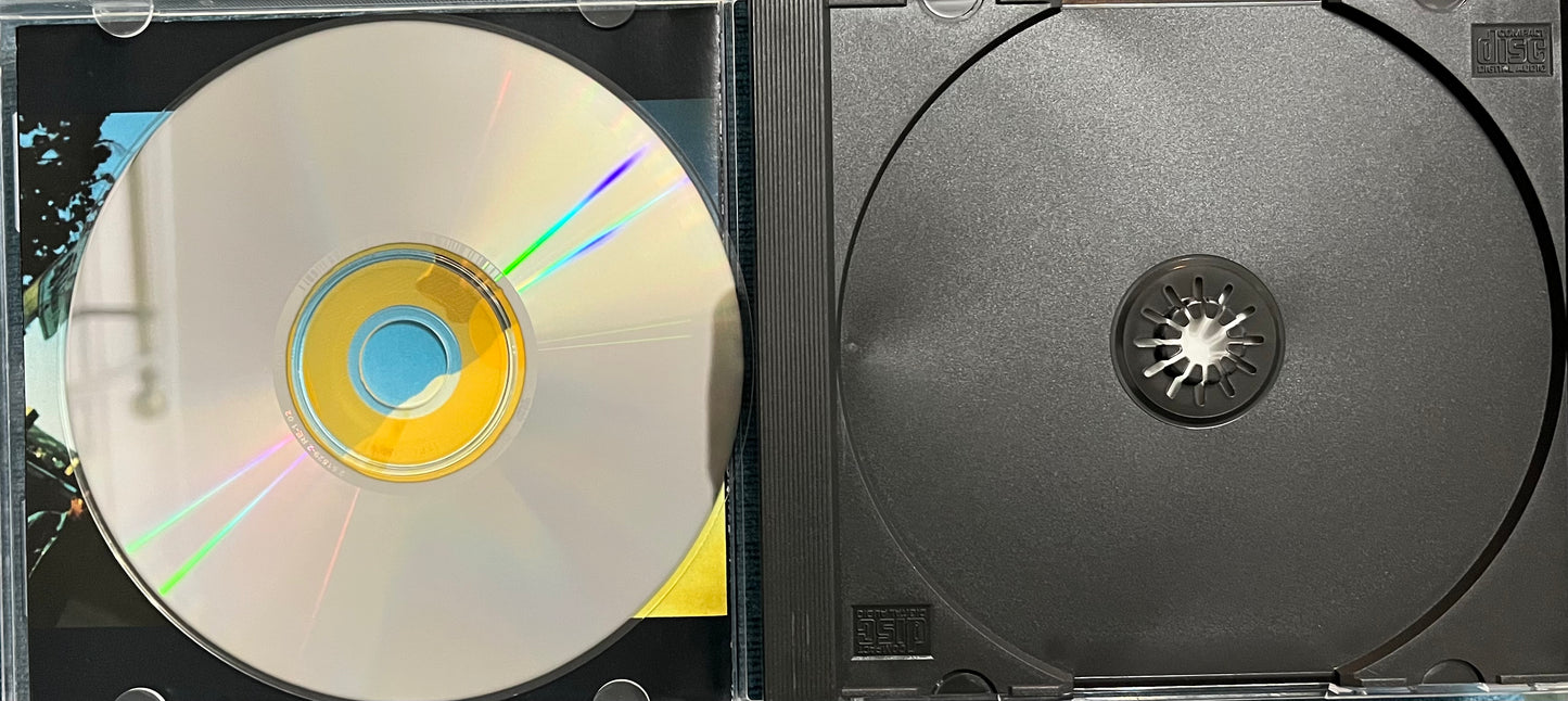 Del Tha Funkee Homosapien - No Need For Alarm