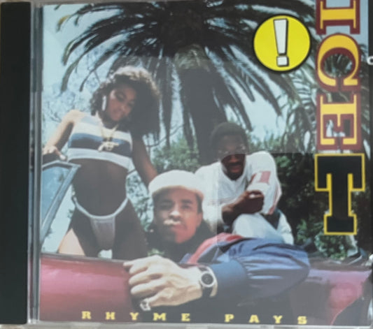Ice T - Rhyme Pays