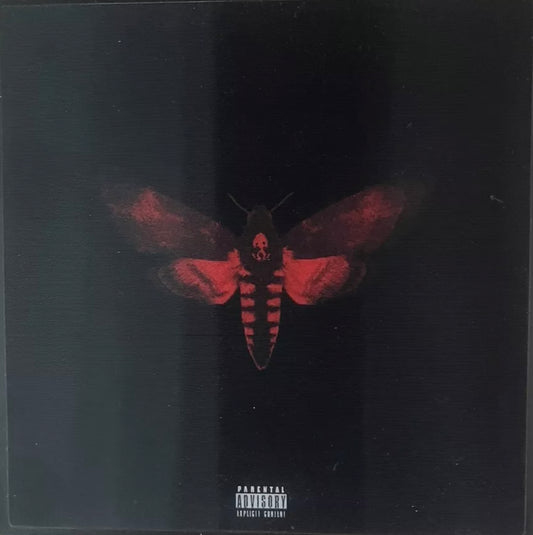 Lil Wayne - No soy un ser humano II
