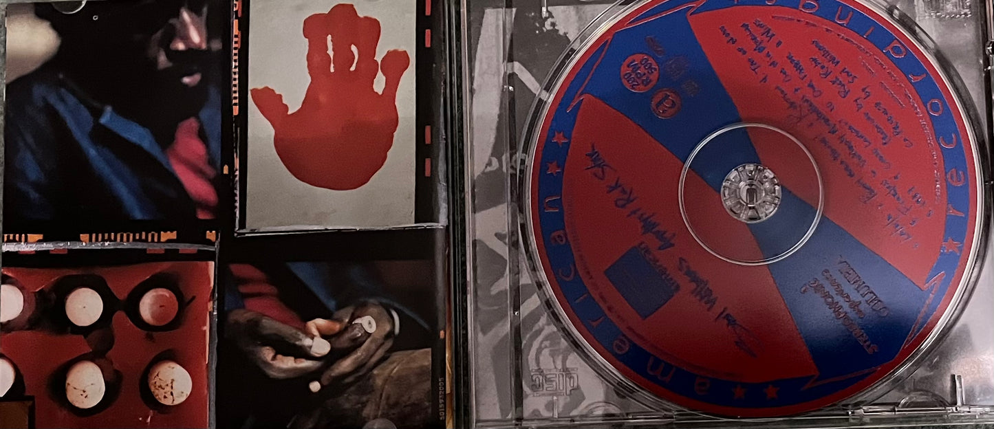 Saul Williams - Amethyst Rock Star