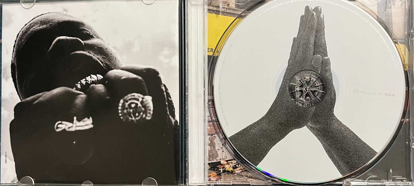 A$ap Ferg - Always Strive And Prosper